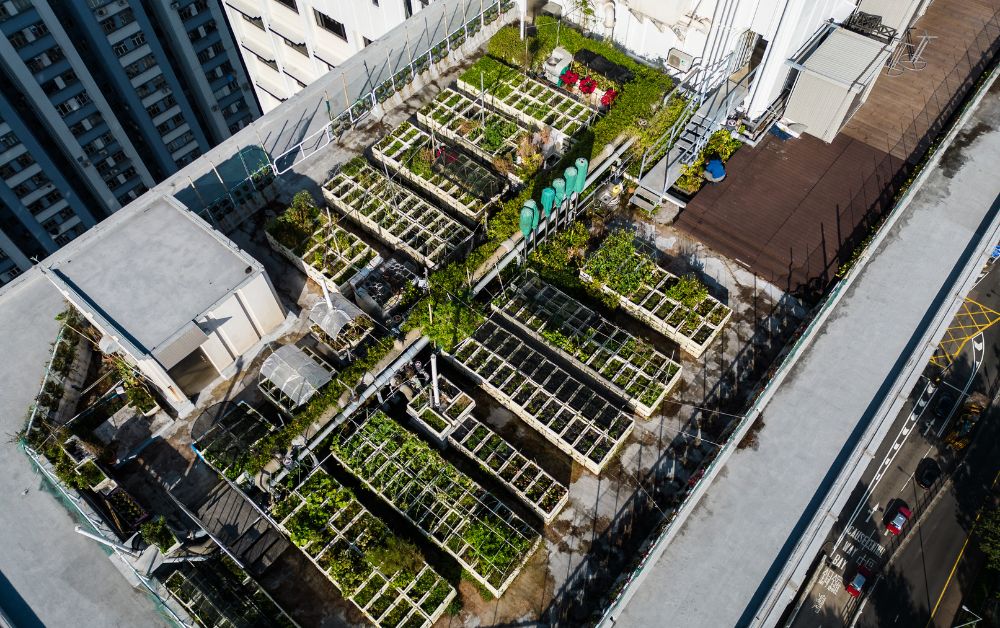 เดอะ พาร์ค เลน ฮ่องกง ชู “Secret Garden” บนดาดฟ้า-เปิดมิติใหม่แห่งการพักผ่อน