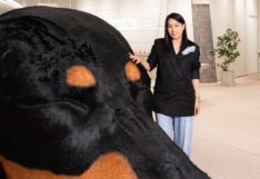 เจาะกลยุทธ์แบรนด์แฟชั่น ‘เกาหลี’ ไอไอคอมบายนด์ ชิง Top of Mind ตลาดลักเซอรี่ สลิล สุญาณเศรษฐกร