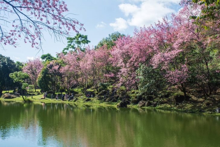 .กรมอุตุนิยมวิทยา วันนี้ ยอดดอย 3-8 องศา กรุงเทพและปริมณฑลเย็นสุด 20-22 องศา.