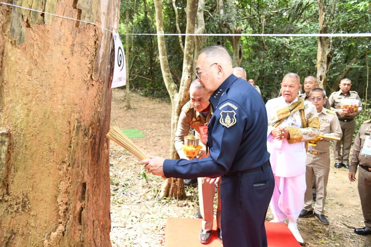 วธ.บวงสรวงตัดไม้จันทน์หอมสำหรับงานพระราชพิธีถวายพระเพลิงพระบรมศพ สมเด็จพระพันปี