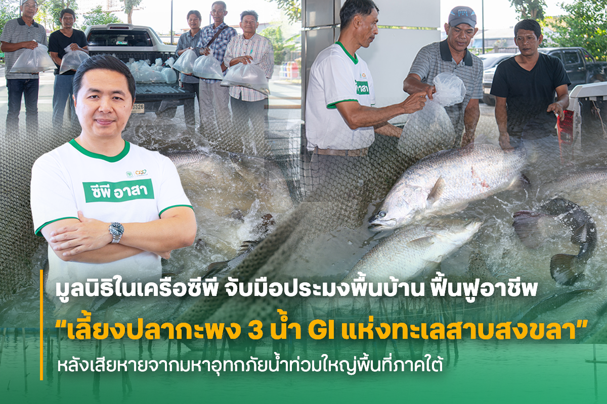 มูลนิธิเจริญโภคภัณฑ์ฯ ผนึกเครือข่ายประมงพื้นบ้านเดินหน้าฟื้นปลากะพง 3 น้ำ