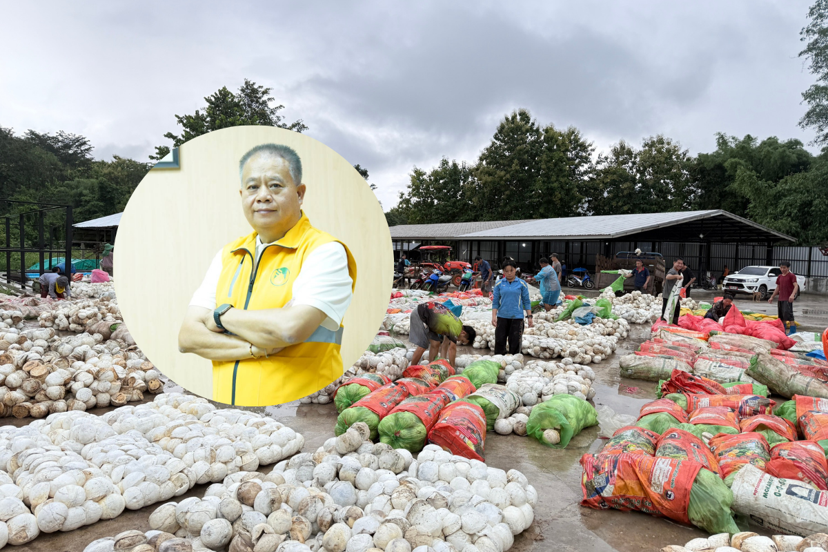 กยท. ทุ่มงบฯ 2,280 ล้าน รักษาเสถียรภาพราคายาง คาดดูดซับยาง 2.5 แสนตัน/ปี 