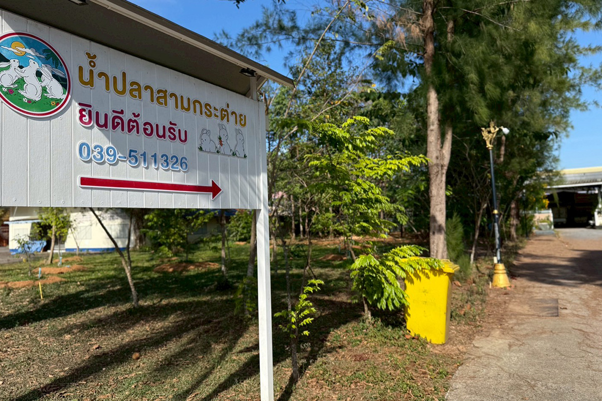 น้ำปลาตรากระต่ายสามตัว