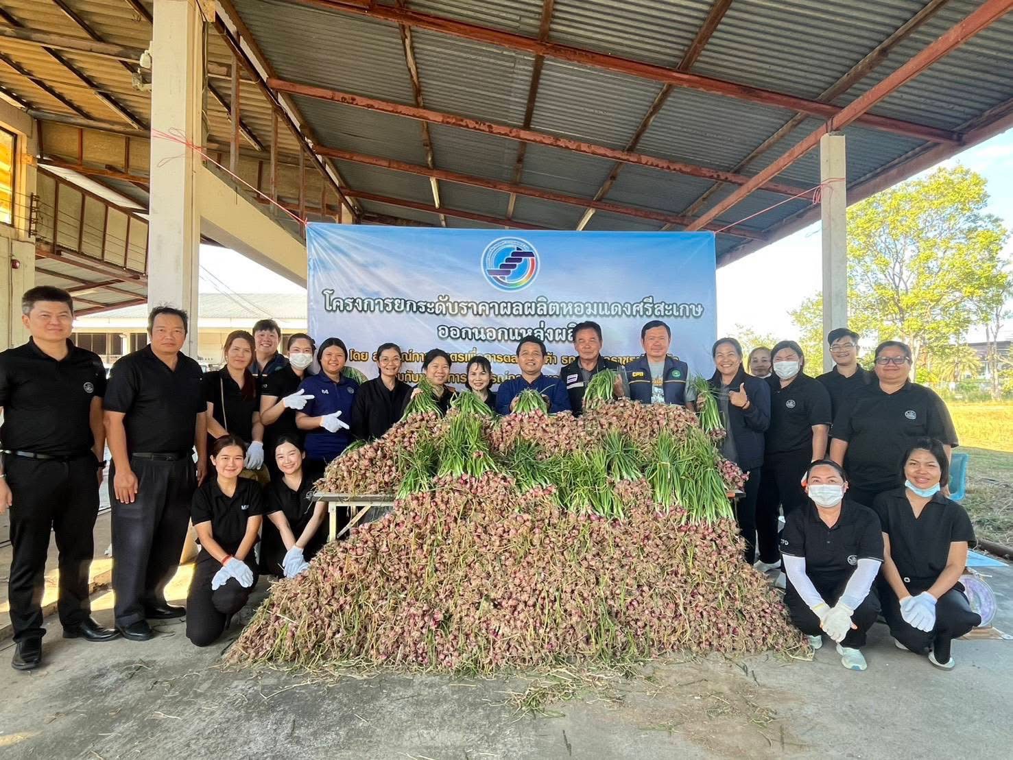 สหกรณ์ศรีสะเกษ เร่งกระจายหอมแดงออกสู่ตลาด รอบแรก 40 ตัน หวังพยุงราคา