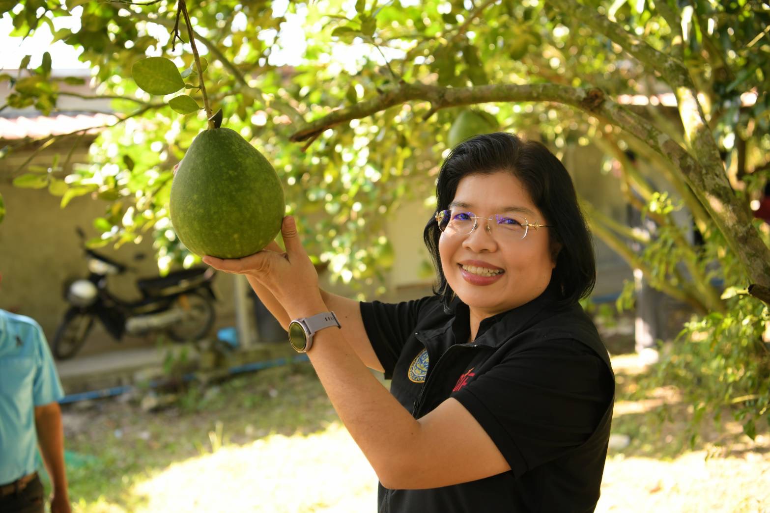 ประกาศ “ส้มโอเวียงแก่น” เป็น GI น้องใหม่ ดัน “เชียงราย” จังหวัดที่มี GI มากที่สุด