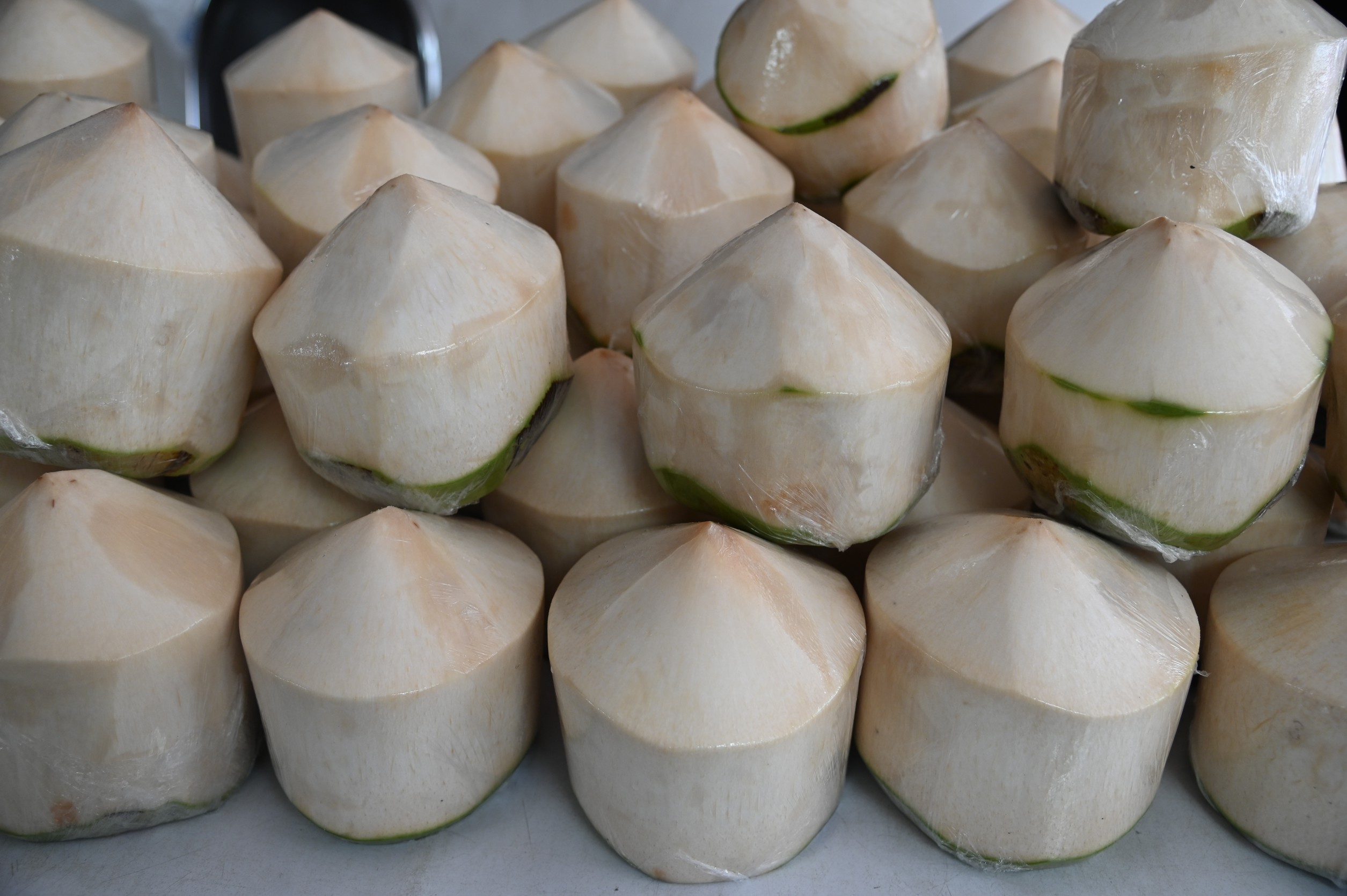 พาณิชย์ เร่งกระจายมะพร้าวน้ำหอม ออกสู่ตลาดกว่า 2 แสนลูก ลดแรงกดดันราคา