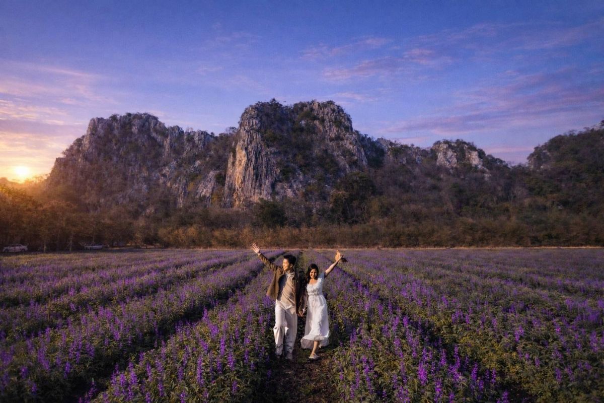 เปิดแล้ว “ทุ่งสิริสมัย” สัมผัสทุ่งดอกบลูซัลเวียกลางหุบเขาพร้อมไฮไลต์ดินเนอร์กลางทุ่งดอกไม้