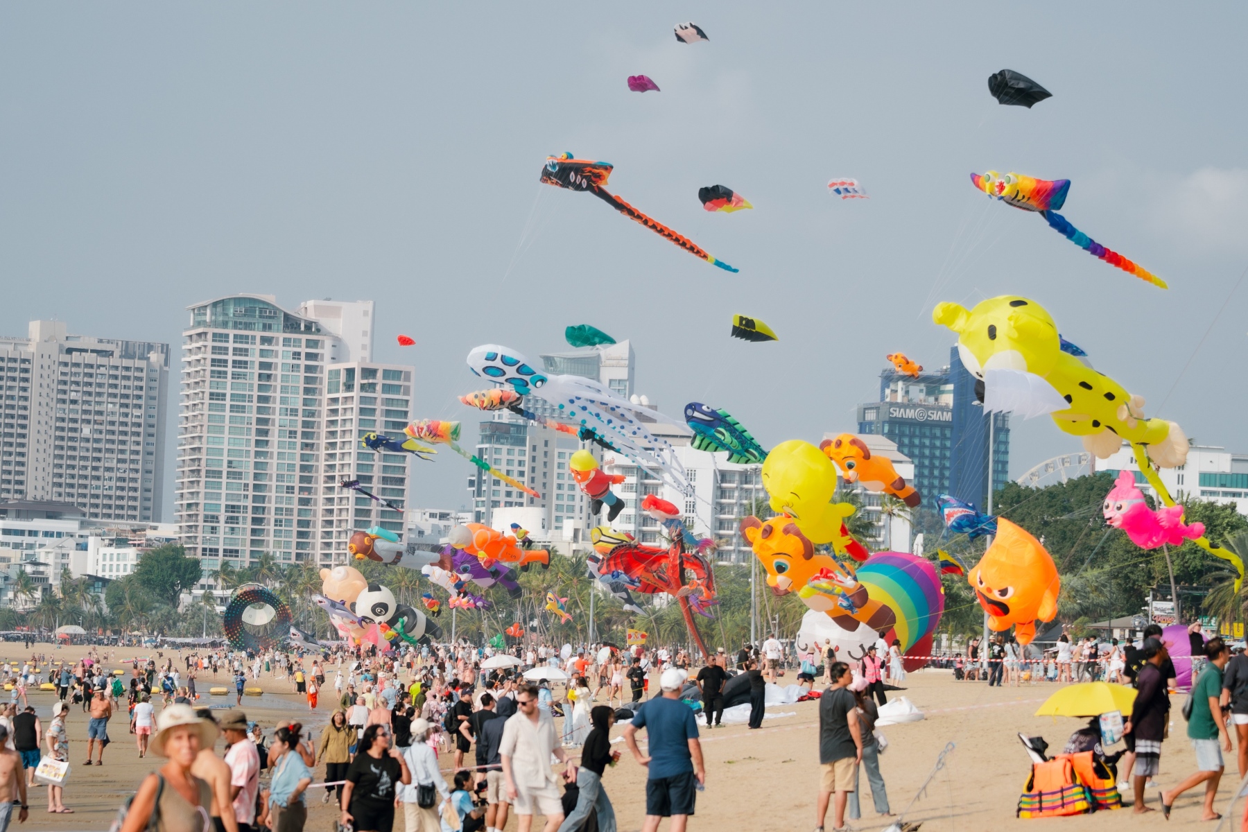 เทศกาลว่าวนานาชาติเต็มท้องฟ้าหน้าเซ็นทรัล พัทยา “PATTAYA INTERNATIONAL KITE ON THE BEACH 2026”