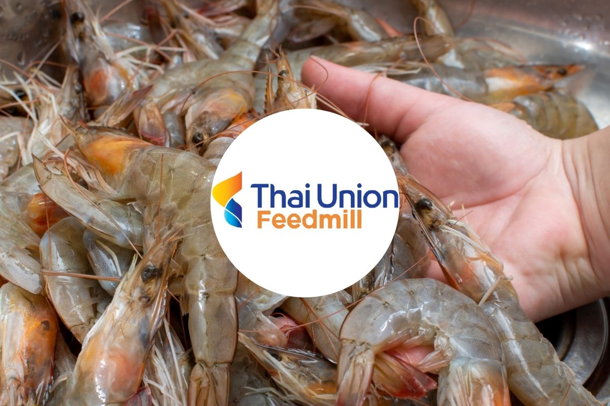 ไทยยูเนี่ยน ฟีดมิลล์ ขานรับภาครัฐ หนุนกุ้งไทยสู่ ‘Smart & Sustainable Farming’ ปี’69