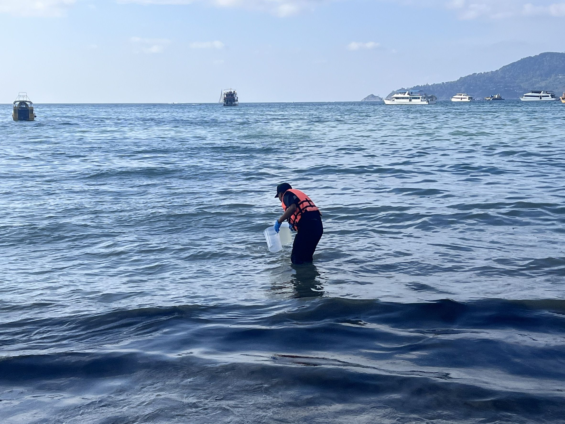 ภูเก็ต พบสาหร่ายสะพรั่งตามชายหาดป่าตอง คพ. เร่งตรวจคุณภาพน้ำทะเล