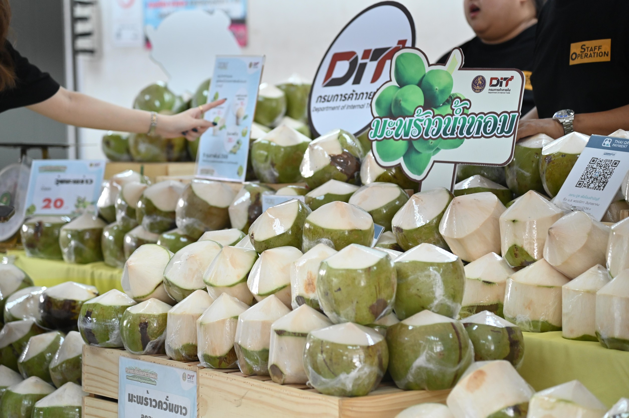พาณิชย์ เร่งดูดซับมะพร้าวน้ำหอม กลาง-ใต้ 2 ล้านลูก ดึงห้าง-ตลาดกลางเข้าซื้อ