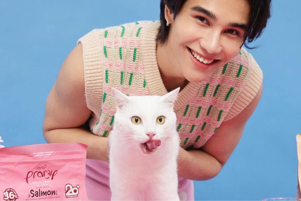 โซเชียลอาลัย ‘ไข่ขาวลูกแมร๊’ จากไปอย่างสงบ เจ้าของขอเวลาทำใจ