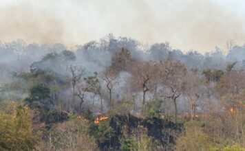 อัจฉรา มธ. ชง ‘ท้องถิ่น-รัฐบาล’ เร่ง 5 มาตรการด่วน รับมือ PM 2.5 – ไฟป่า