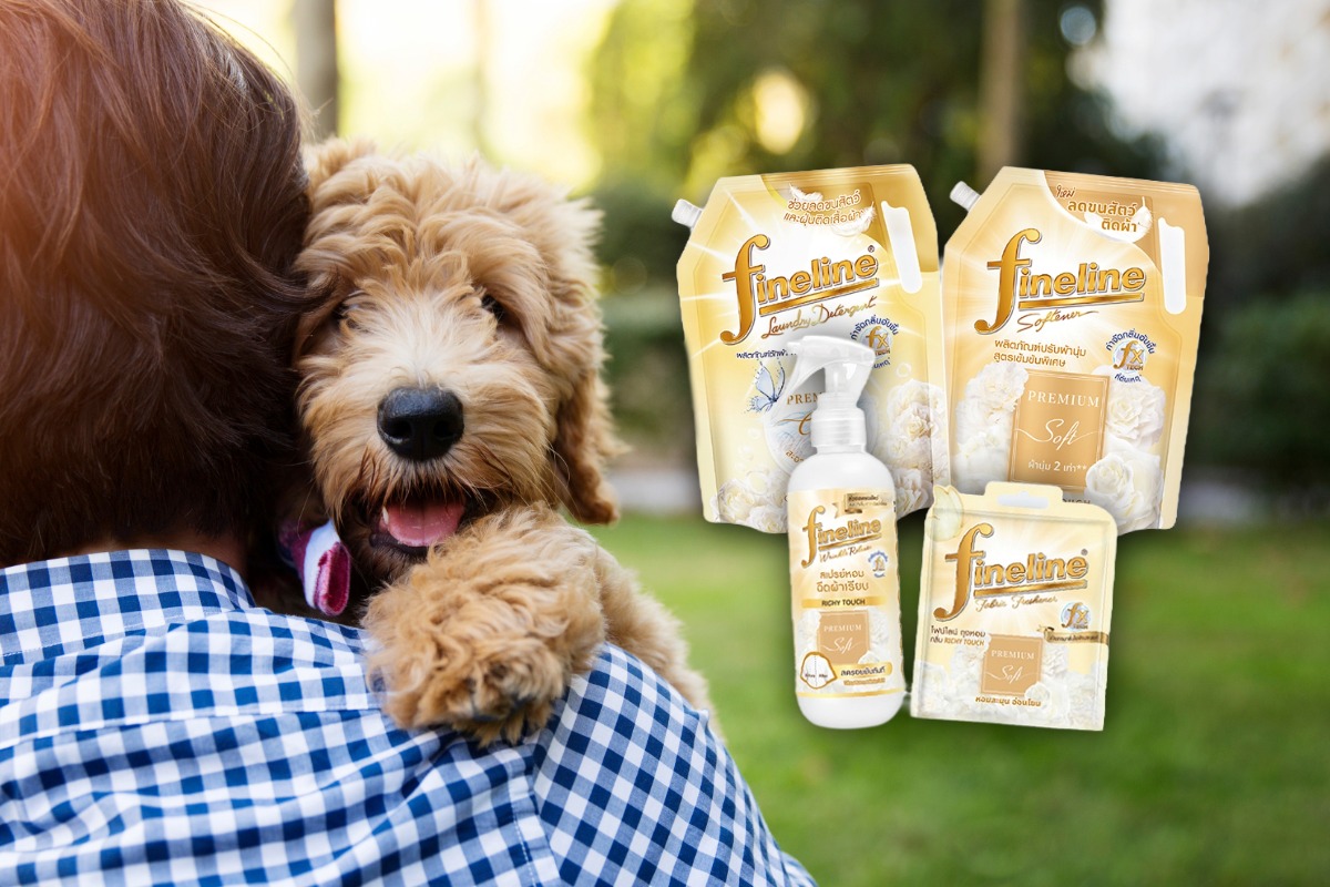 จาก “ขนสัตว์ติดผ้า” สู่โอกาสธุรกิจ ไฟน์ไลน์รุกตลาด Pet Parents