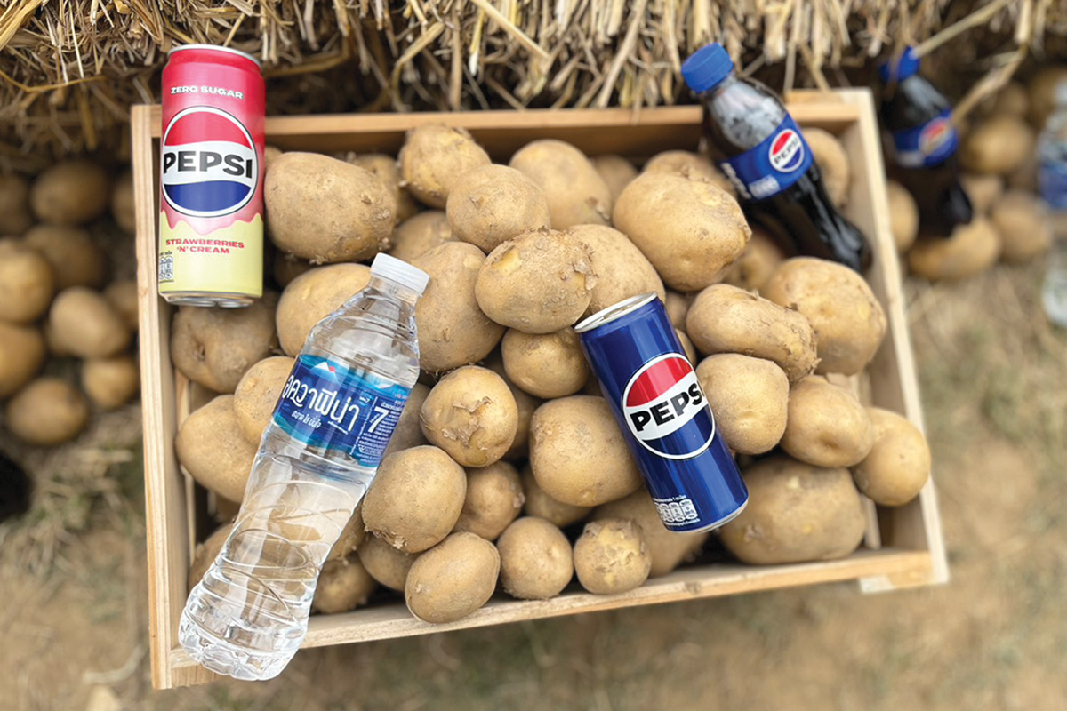 PepsiCo