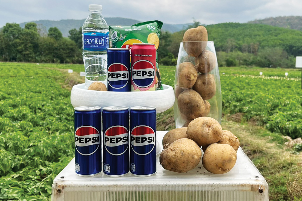 PepsiCo