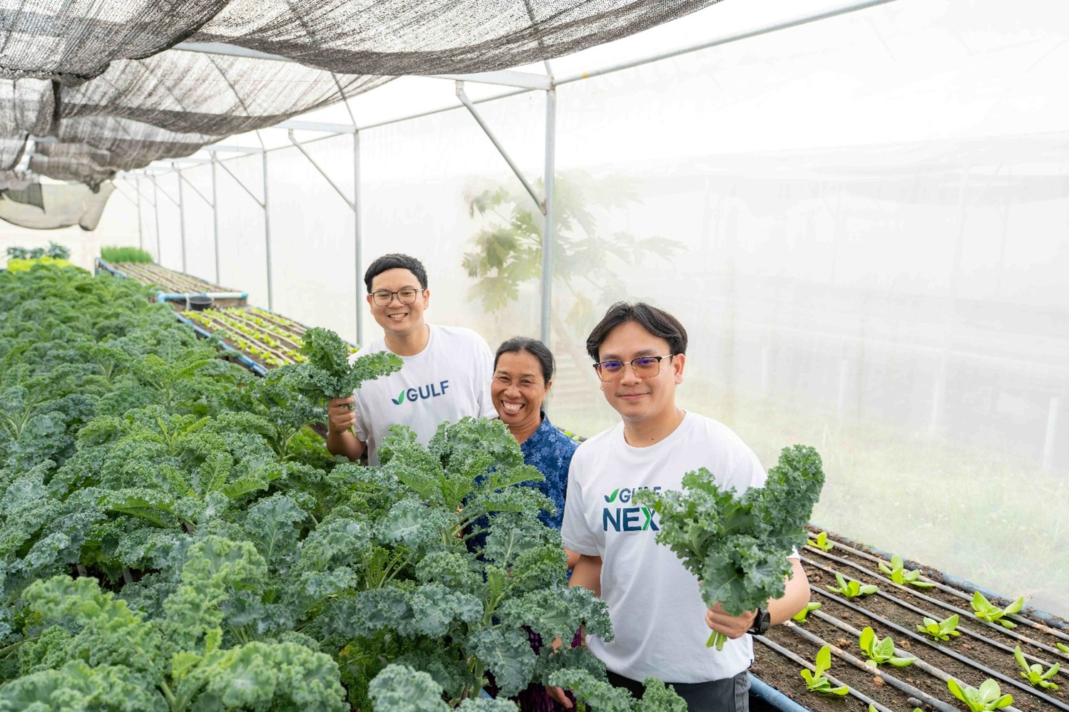 GULF ขับเคลื่อนพลังงานสะอาด ติดตั้งระบบสูบน้ำโซลาร์ เสริมศักยภาพเกษตรกร จ.อุดรฯ