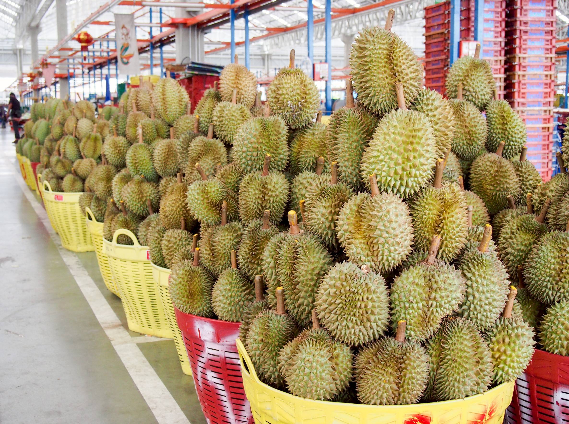 ค้าต่างประเทศลุยตรวจ Form E สกัดสวมสิทธิทุเรียน ดันผลไม้ไทยสู่ตลาดโลก
