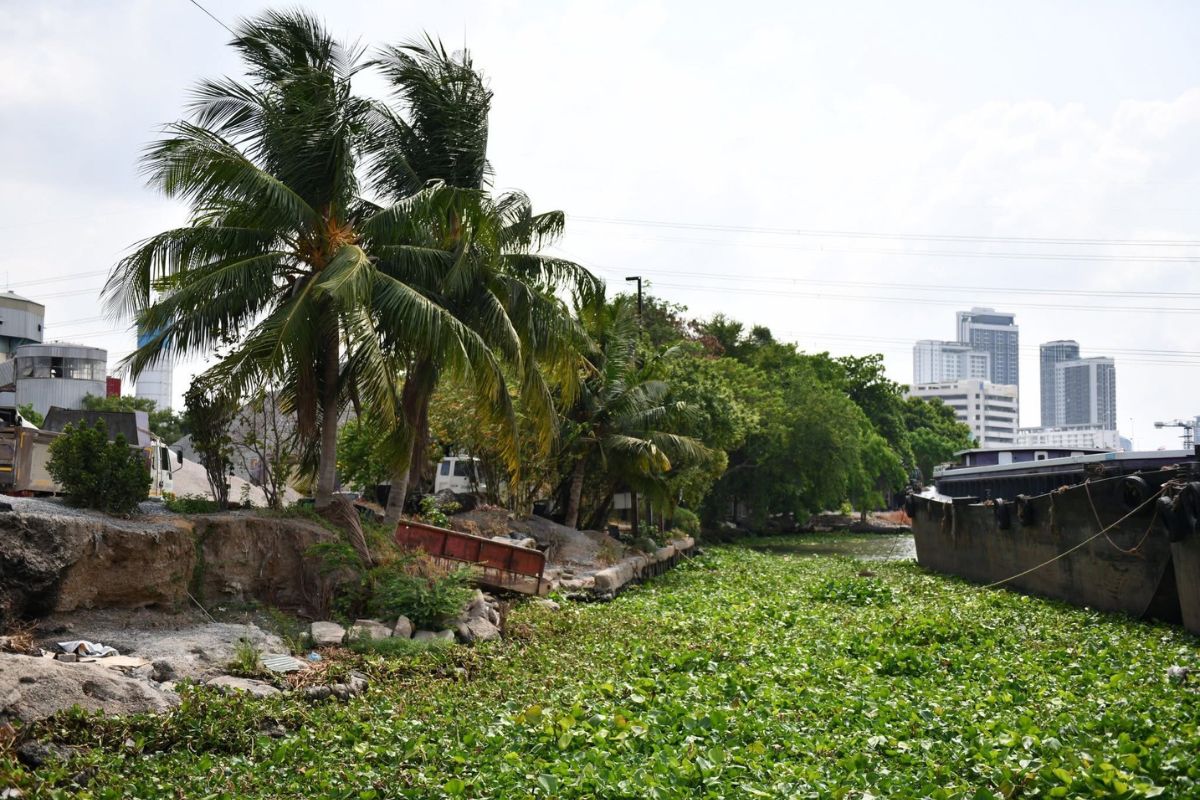 กทม.พลิกที่รกร้างย่าน “บางซื่อ” ผุดสวนสาธารณะ 2 แห่งใหม่กลางกรุง
