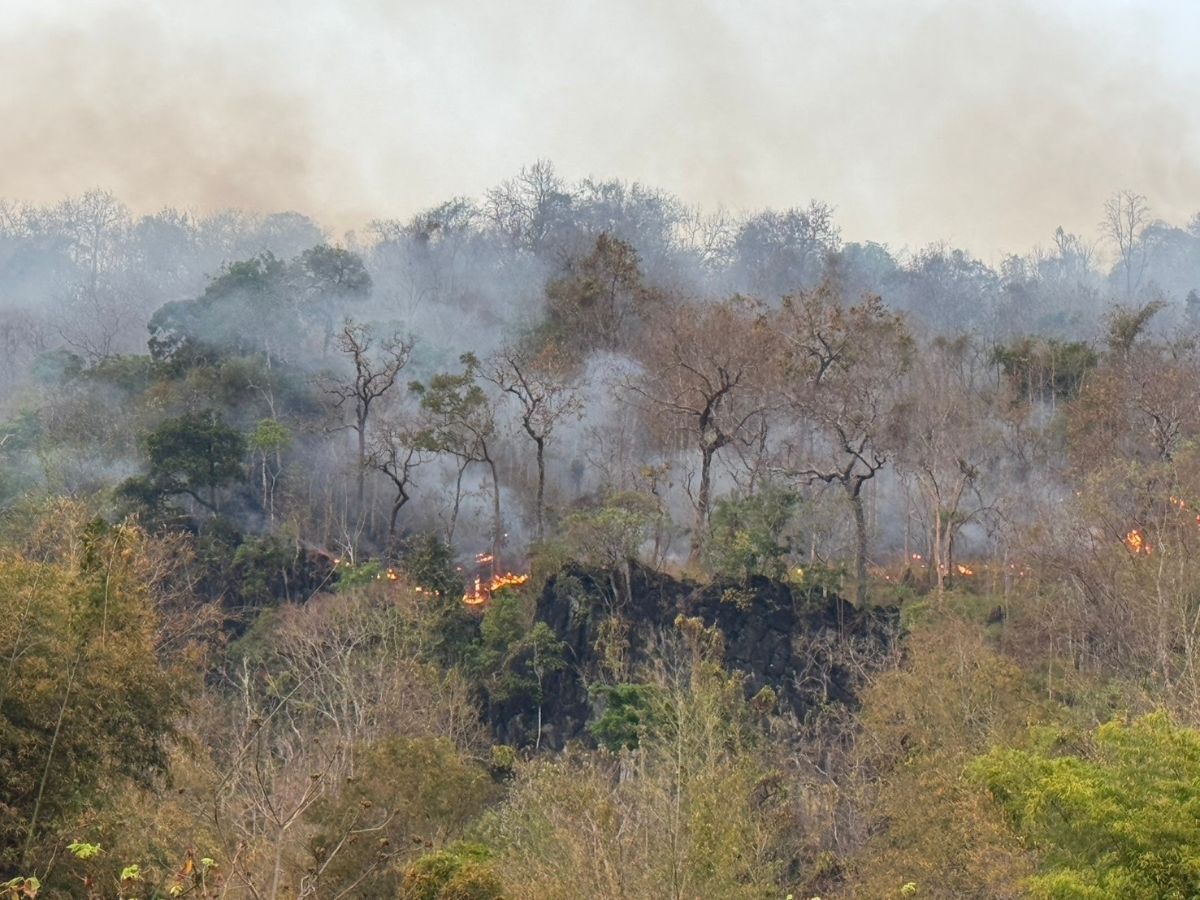 ศกพ. เตือนภาคเหนือ ฝุ่น PM 2.5 เกินค่ามาตรฐานมากสุด 16 จังหวัด