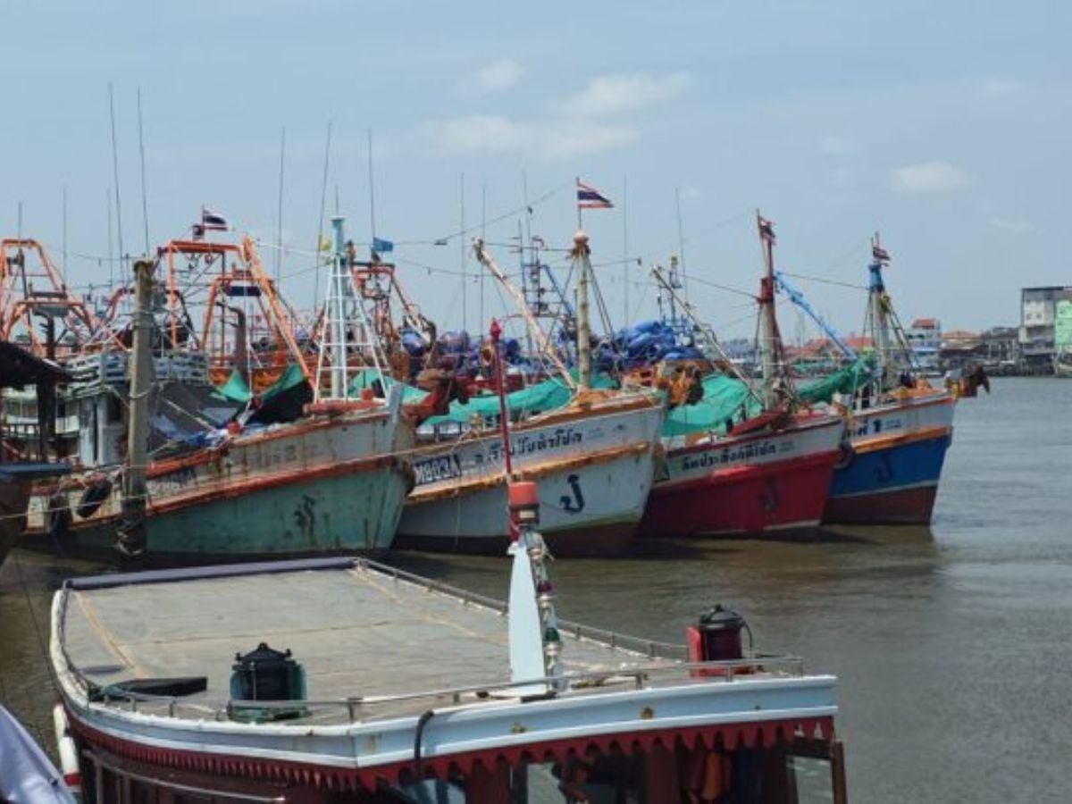 ประมงไทยจ่อหยุดเรือทั่วประเทศ ขีดเส้นตาย 30 มี.ค. ถ้ารัฐยังแก้ไม่ตรงจุด ทุกอย่างชะงัก 