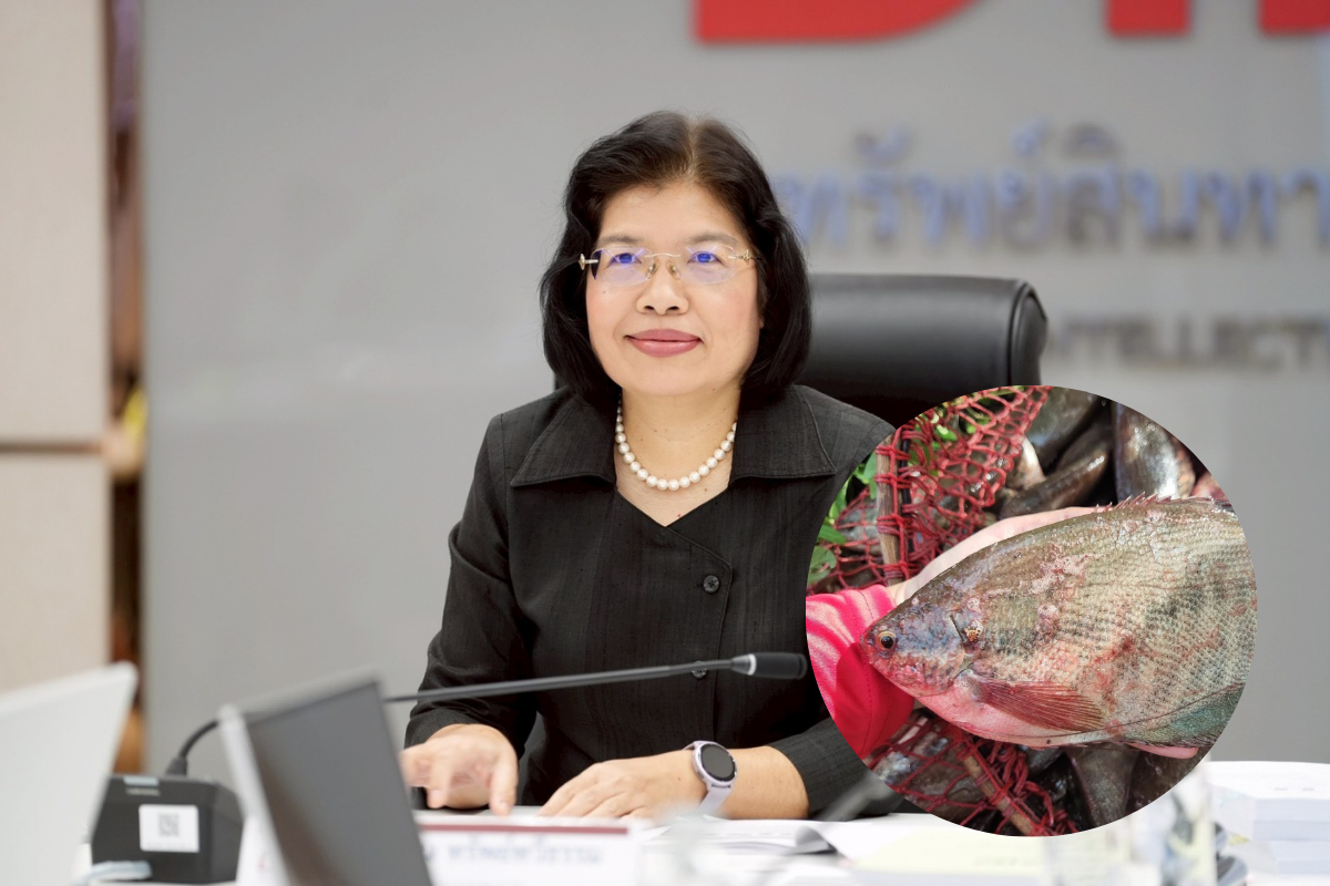 “ปลาสลิดบ้านแพ้ว” ขึ้นแท่น GI ใหม่ ดันมูลค่าเกษตร-เชื่อมท่องเที่ยวชุมชน