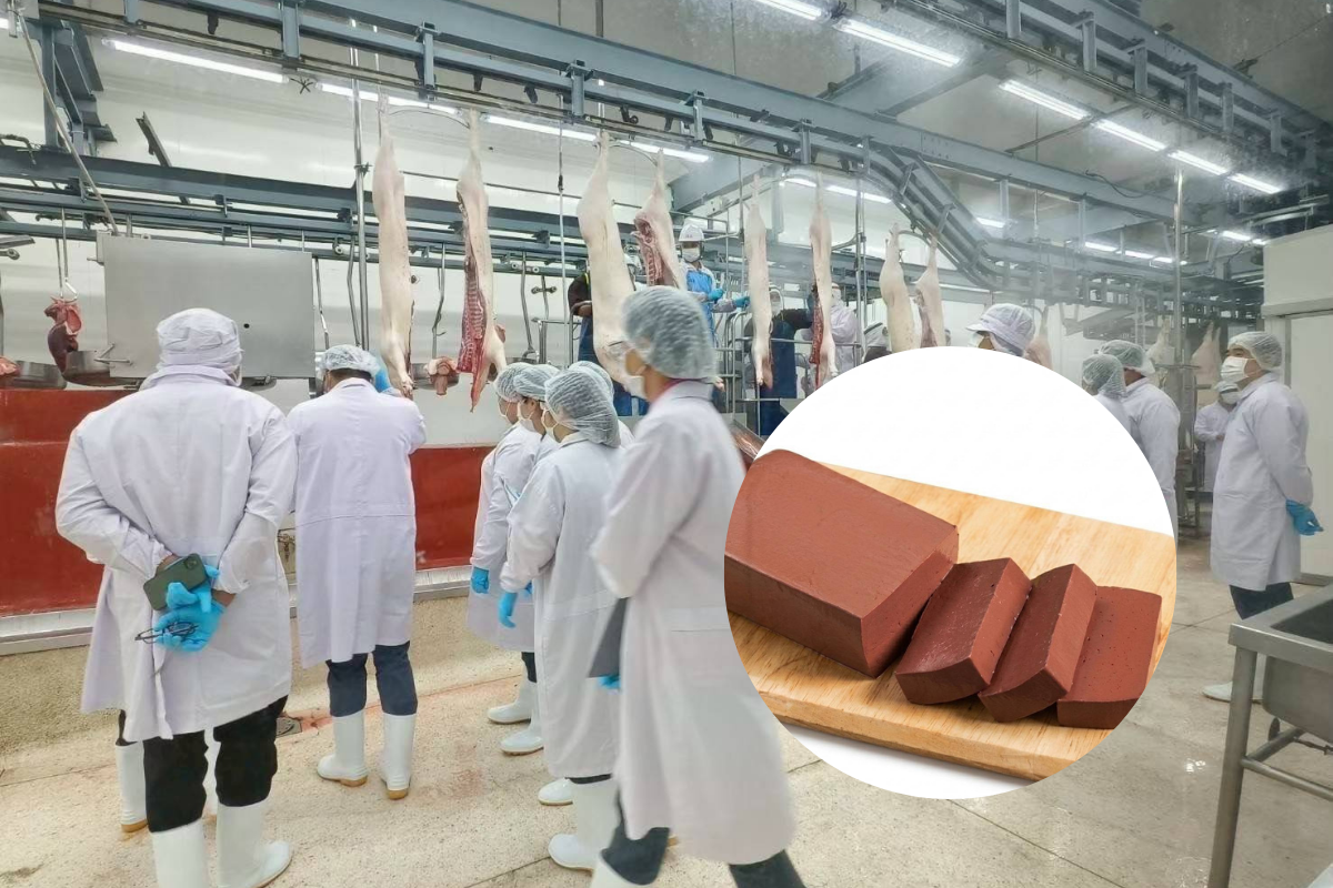 สิงคโปร์ไฟเขียวไทยส่งออก “ผลิตภัณฑ์เลือดสุกรปรุงสุก” เป็นประเทศแรกของโลก