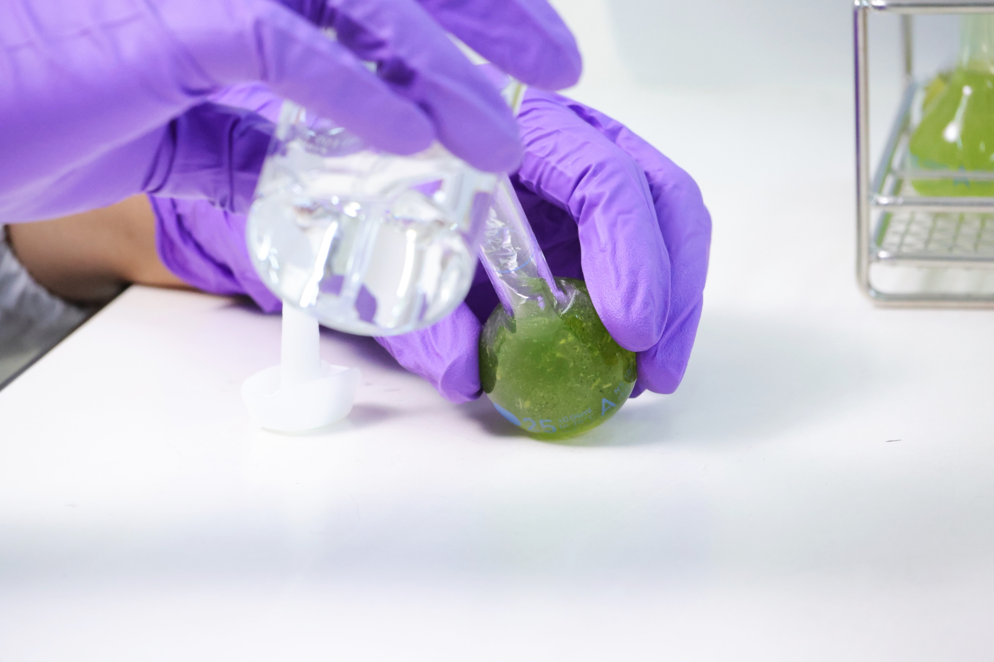 สถาบันวิจัยจุฬาภรณ์พัฒนาและผลิตสารสกัดฟ้าทะลายโจร ช่วยลดต้นทุนการผลิต