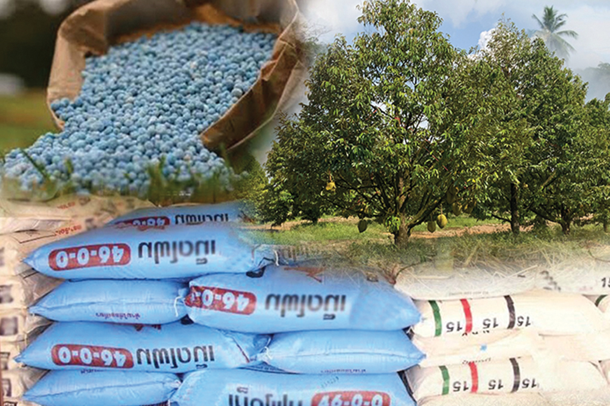 ธ.ก.ส.ปรับเกมสินเชื่อ ชู ‘ดอกเบี้ยคนละครึ่ง’ ช่วยเกษตรกรแก้ ‘ปุ๋ยขาด/แพง’