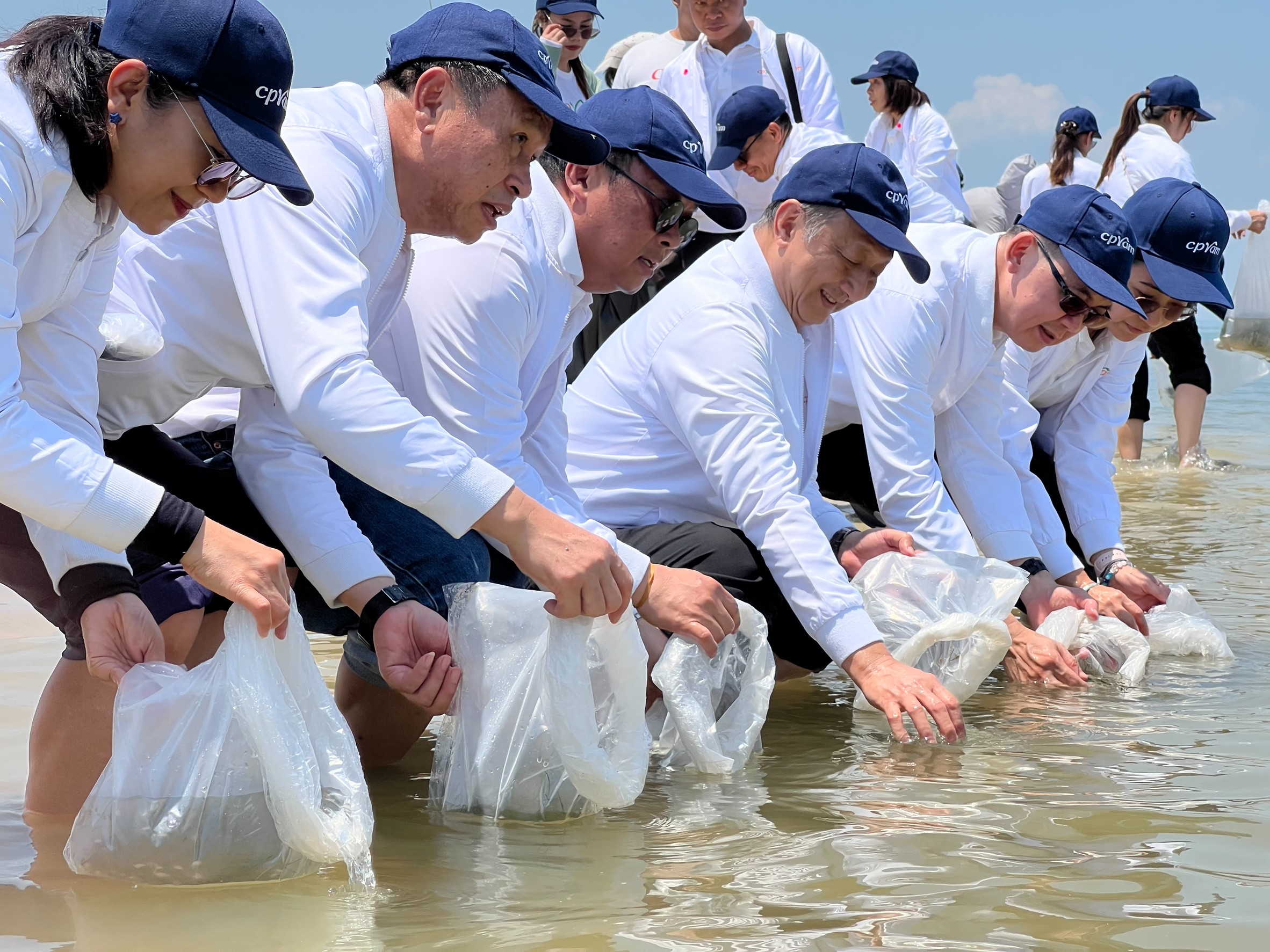 ซีพีแรมผนึกชุมชน ฟื้นทะเล-ปูม้าพุมเรียง สร้างรายได้ยั่งยืน