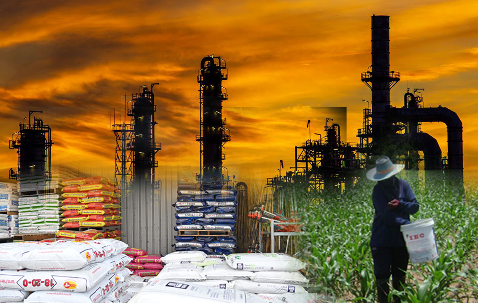 สงครามอิหร่าน… ลามถึงโต๊ะอาหาร