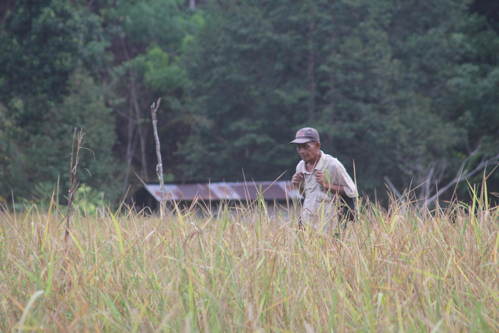 รู้จัก ‘PES’ กลไกจูงใจคนรอบป่า หยุดเผา-เฝ้าระวัง แลกค่าตอบแทนดูแลระบบนิเวศ