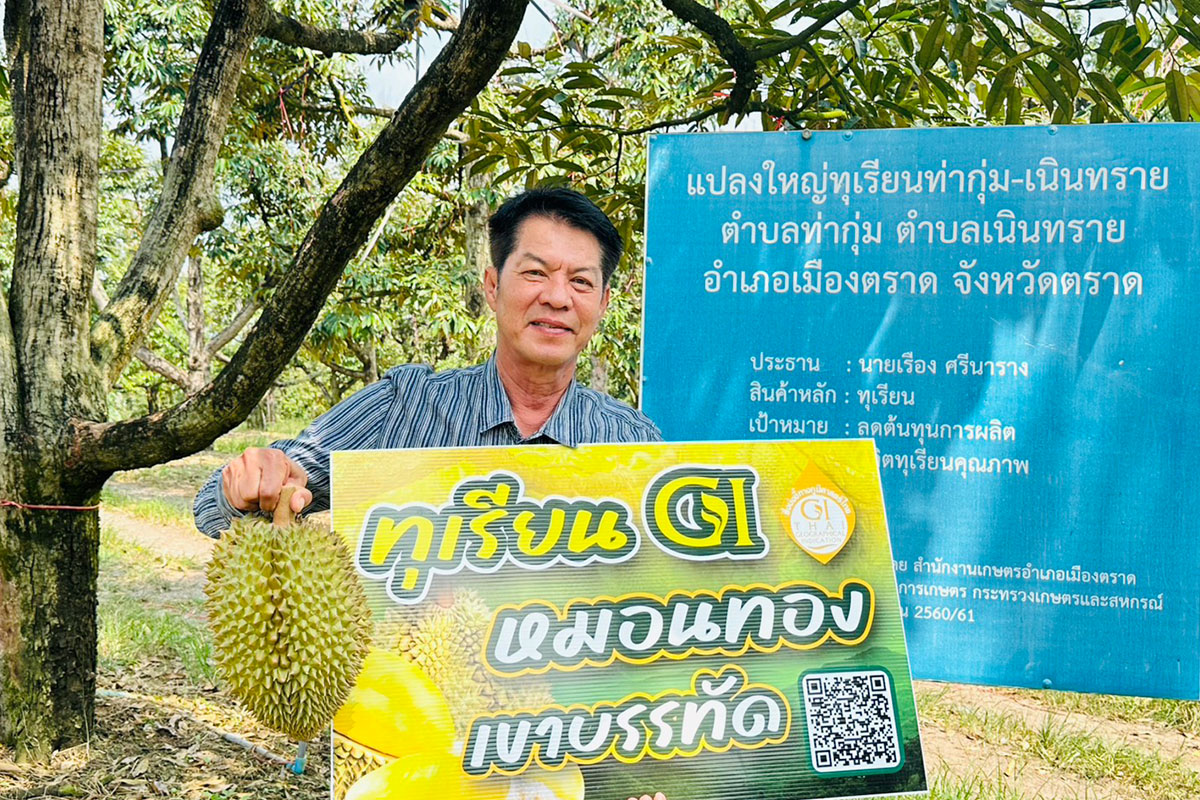 ‘หมอนทองเขาบรรทัด GI’ รอยัลฟาร์มดันส่งออกตลาดออนไลน์จีน