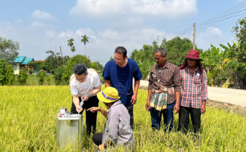 ศูนย์ข้าวชุมชนคลอง 13