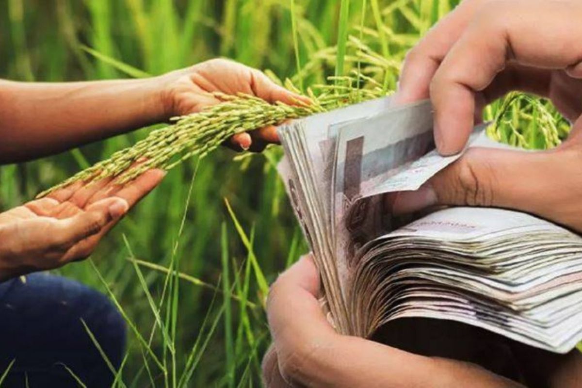 รัฐเปิดสินเชื่อ ‘ดอกเบี้ยคนละครึ่ง’ ลดภาระเกษตรกร กู้สูงสุด 1 แสน