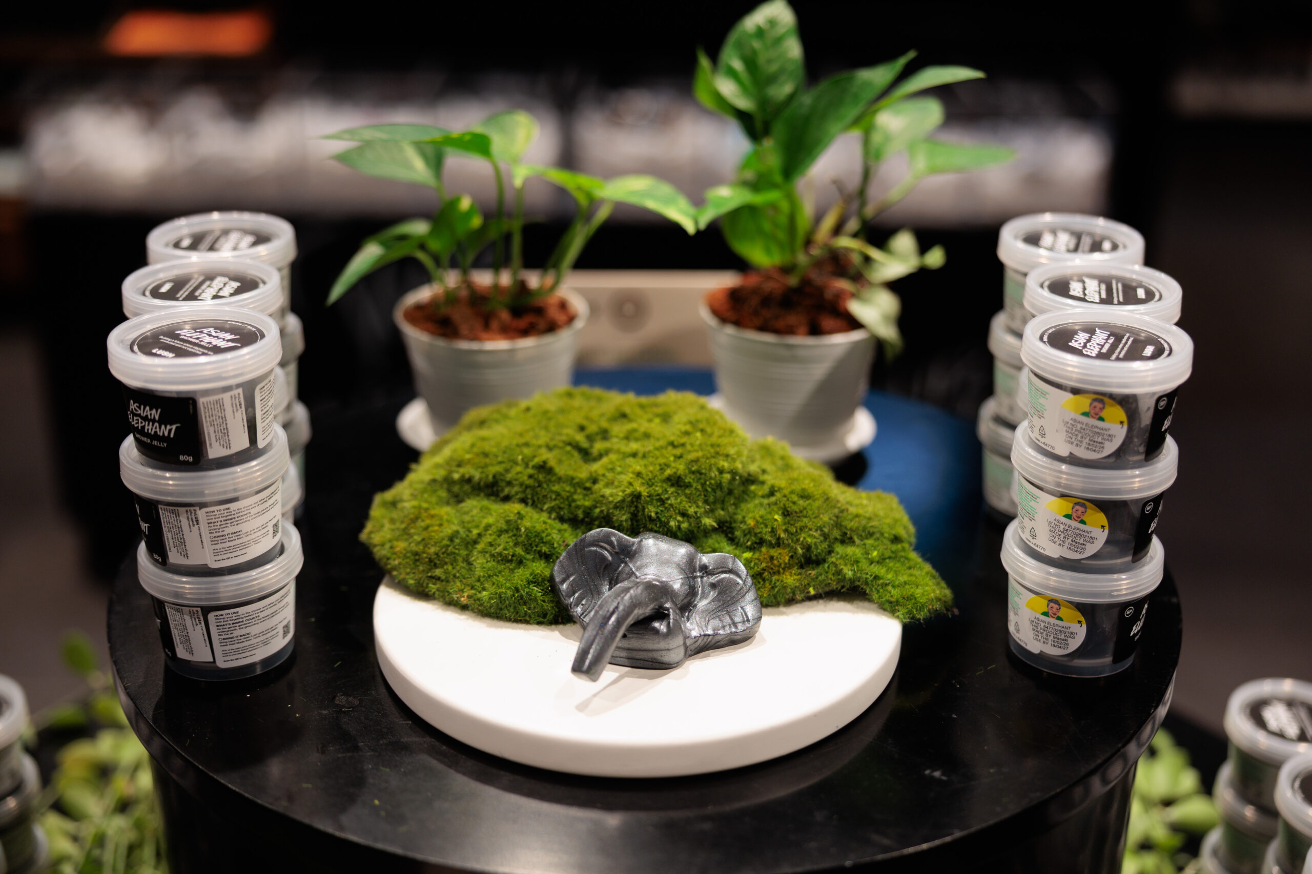 LUSH รุกแคมเปญสบู่รูปช้าง ดึงผู้บริโภคหนุนสวัสดิภาพช้างไทย