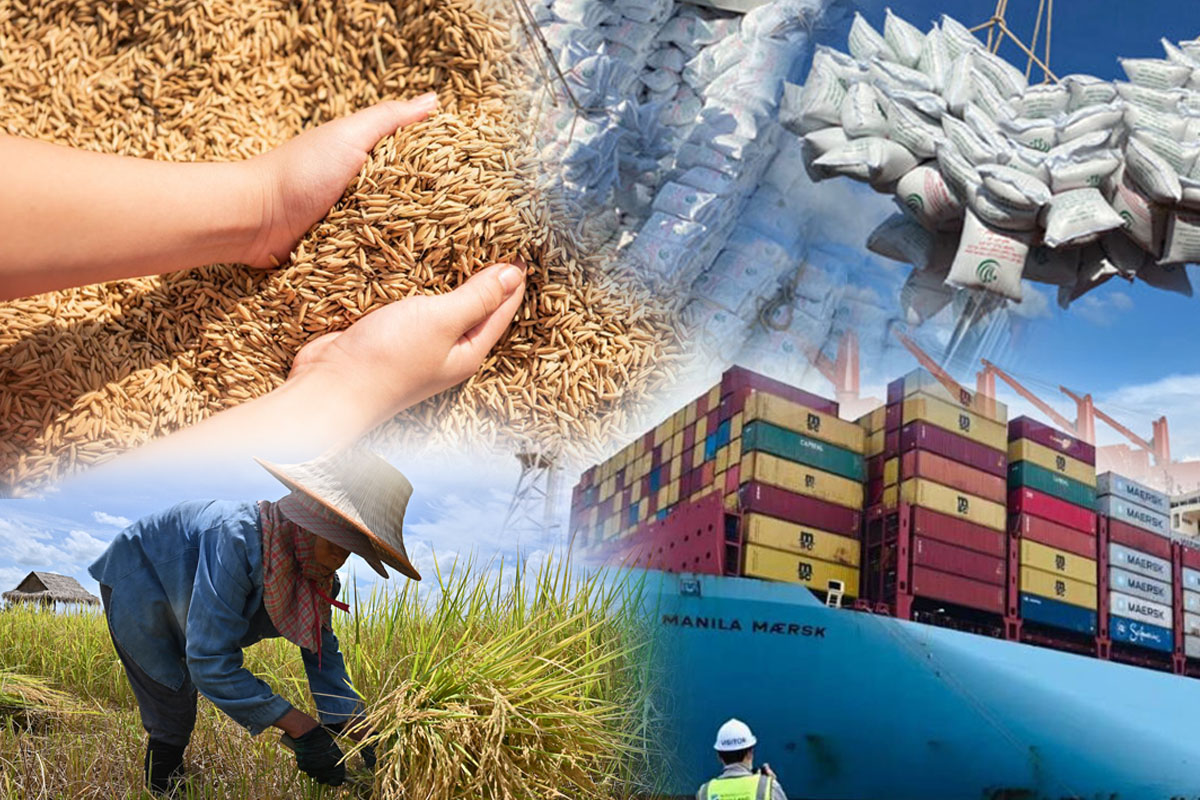 ส่งออกข้าวไปอิรักสะดุด ภาษีสหรัฐไม่นิ่งกระทบเป้าปีนี้