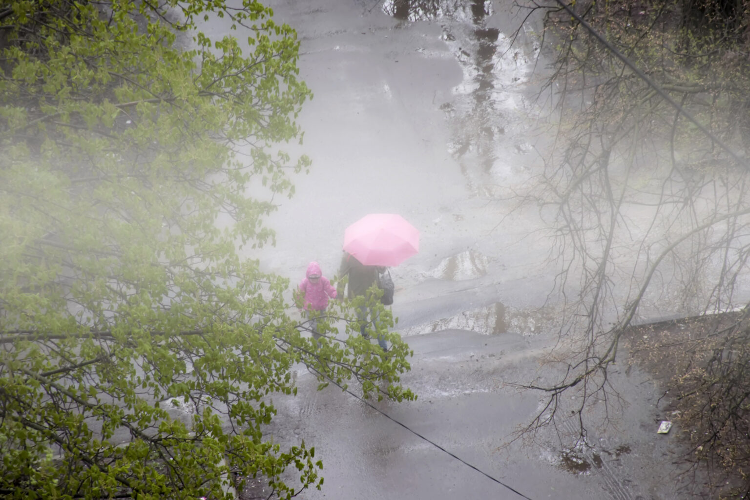 พยากรณ์อากาศ (23 เม.ย.) ภาคเหนือ-อีสาน-ใต้ ฝนฟ้าคะนองบางพื้นที่