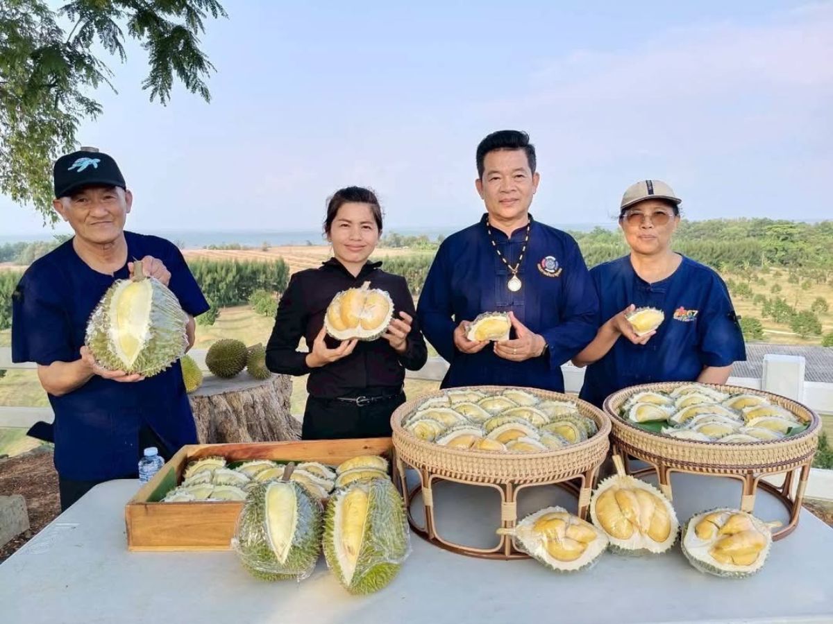 ตราดจัดใหญ่ เทศกาลทุเรียนริมเล&หมอนทองเขาบรรทัด 11-12 เม.ย.นี้