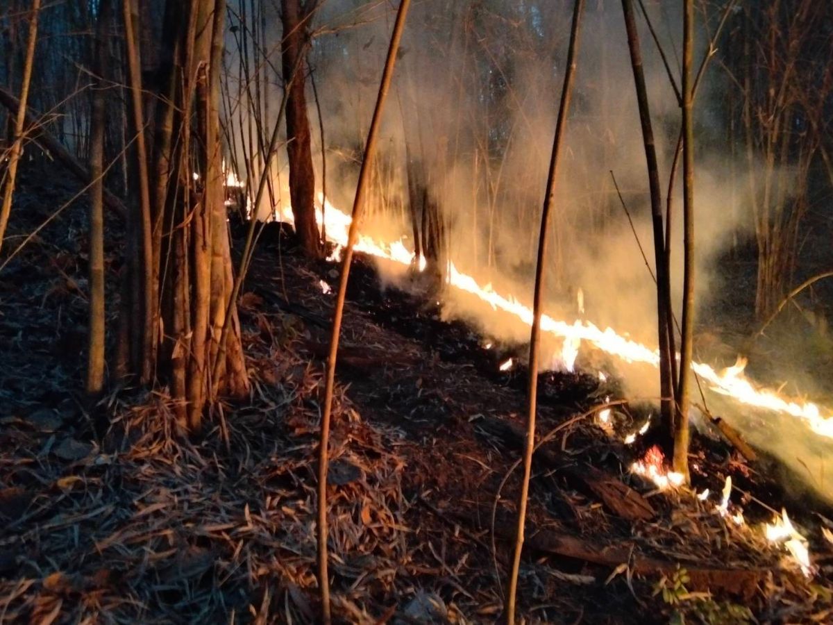 4 จังหวัดเหนือตอนบน จมฝุ่นมลพิษระดับสีแดง 22 วันรวด