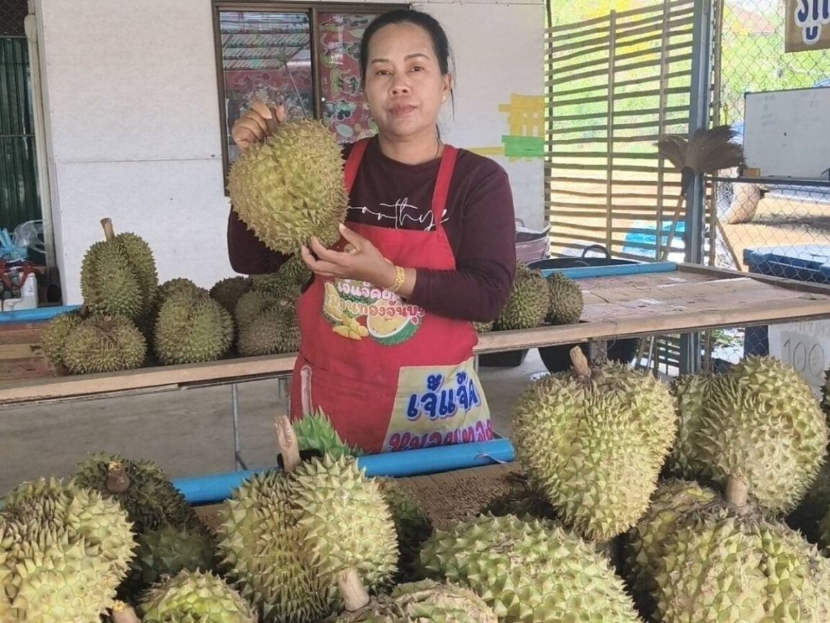 แม่ค้าทุเรียนแพร่ จัดโปรแรง ซื้อกี่บาทก็ได้ลุ้นทองฟรี 1 สลึง
