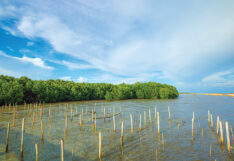 เมื่อธรรมชาติกลายเป็น ‘โครงสร้างพื้นฐานด้านสภาพภูมิอากาศ’ โอกาสใหม่ของภาคเอกชนไทย 10-2