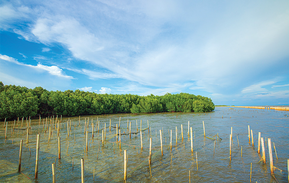 เมื่อธรรมชาติกลายเป็น ‘โครงสร้างพื้นฐานด้านสภาพภูมิอากาศ’ โอกาสใหม่ของภาคเอกชนไทย