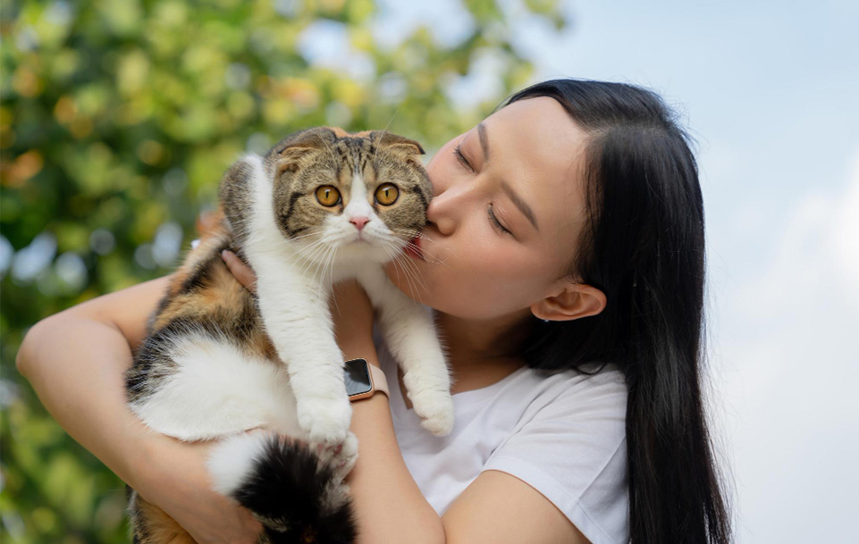 Cat Sister อาชีพใหม่ ‘ทาสแมว’