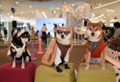 ฟิวเจอร์พาร์ค และสเปลล์ เปิดตัว “Pet Zociety” เอาใจเหล่า Pet Lover