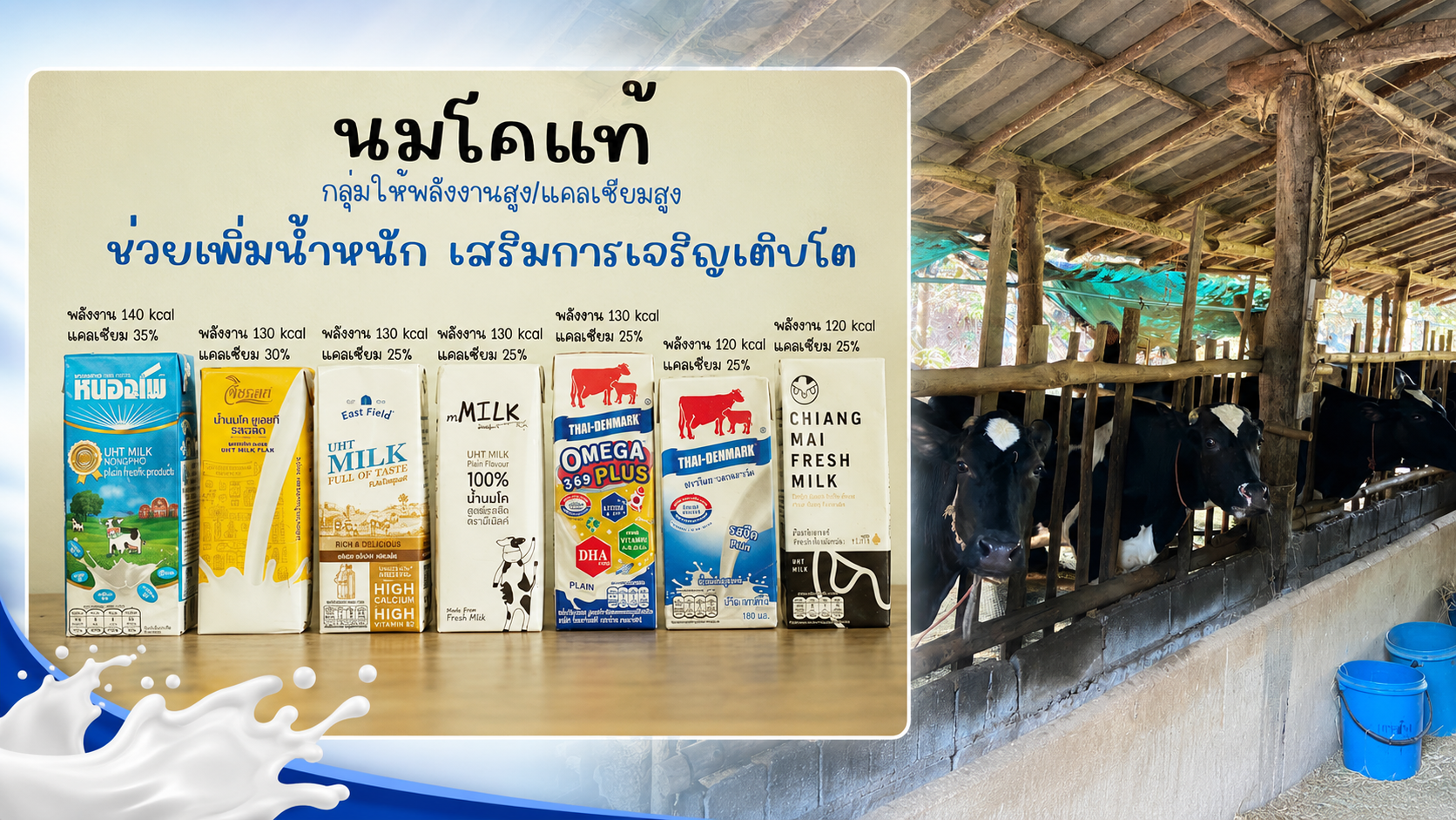 นมโรงเรียนยังป่วน เกษตรฯ เร่งเคลียร์อุทธรณ์ใน 20 วัน-สหกรณ์แม่ออนเจอค้างจ่าย 70 ล้าน