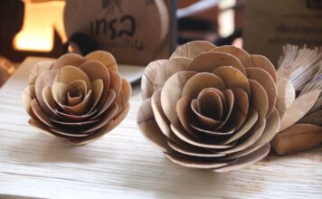 Green Gain Hub หนุนเกษตรกรหยุดเผา เปลี่ยนใบไม้สร้างเศรษฐกิจ