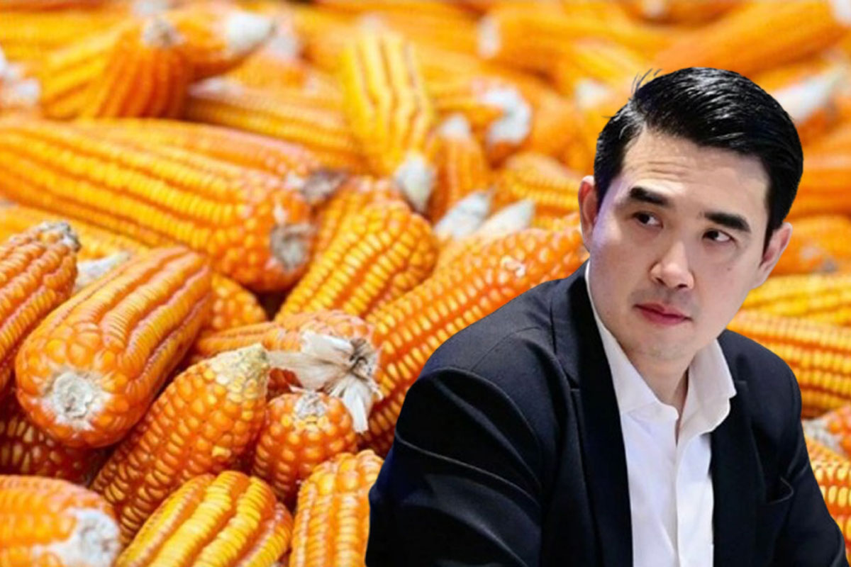 พาณิชย์แจงนำเข้าข้าวโพดสหรัฐ  เพื่อความมั่นคง-ดูแลไม่ให้กระทบเกษตรกร