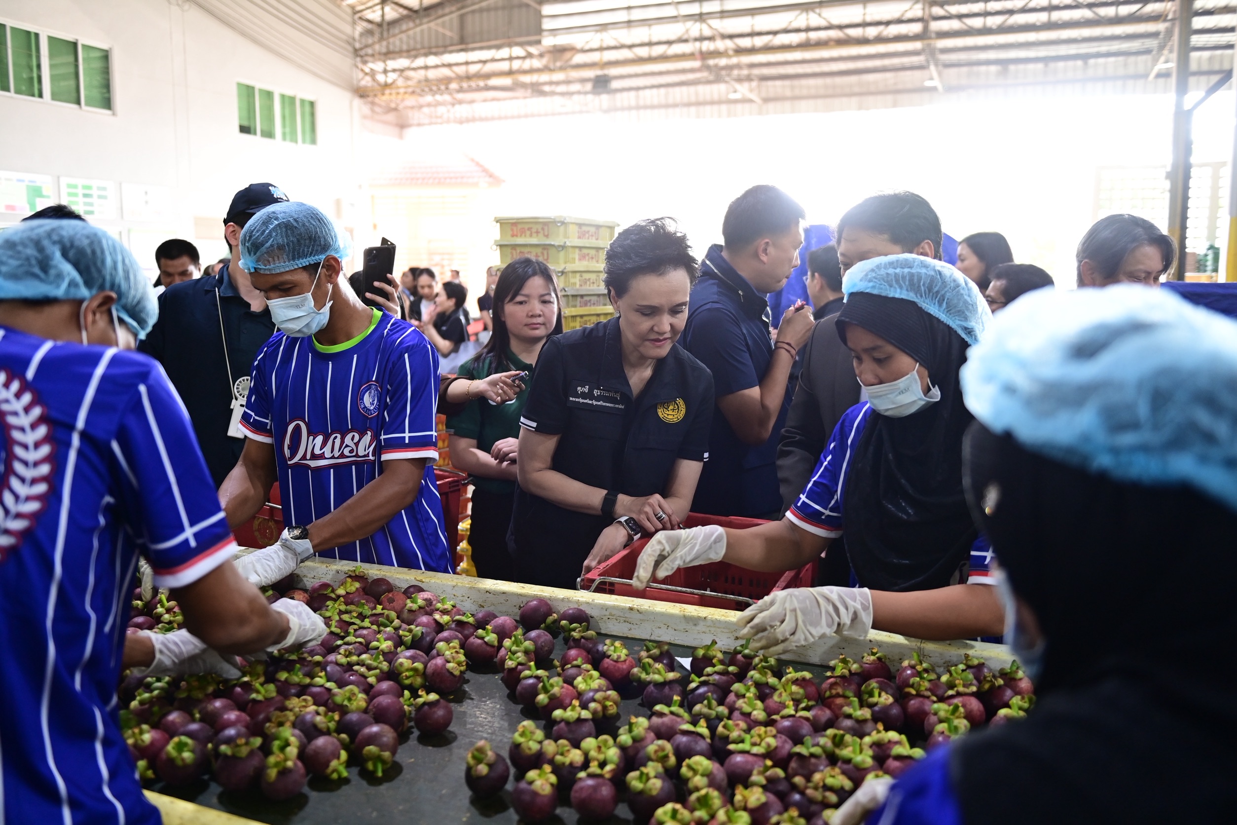 ศุภจีลงจันทบุรี รับศึกมังคุด-ทุเรียนพีกกลาง พ.ค. ดันส่งออก-ไทยช่วยไทยกันราคาดิ่ง