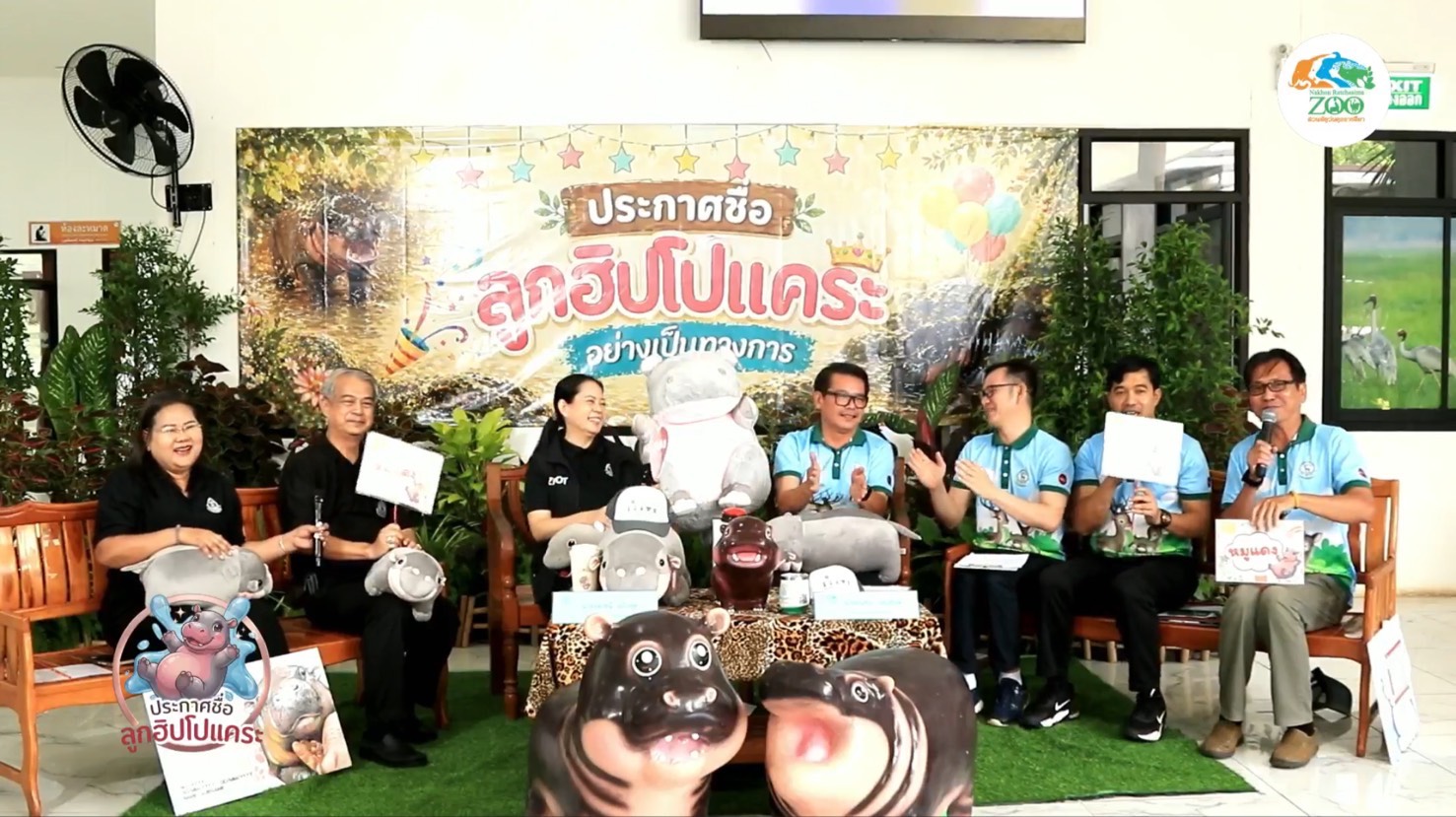 “น้องหมูแดง” มาแล้ว ลูกฮิปโปแคระโคราช ชนะโหวต 3.7 แสนชื่อ